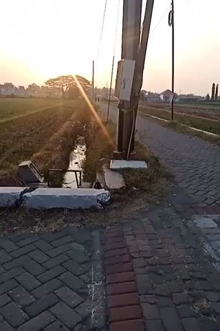 The video shows a rural scene at sunset. A paved road runs alongside a cultivated field. A broken concrete pole lies on the ground near a utility pole that is leaning. A narrow canal or ditch runs between the road and the field. The sun is setting in the distance, casting a warm glow on the scene. In the background, a few people can be seen walking along the road. A motorcycle passes by in the middle of the video.