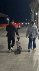 Dog rides folded scooter during evening walk in Tel Aviv