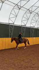 Horse riding session observed at Russian arena