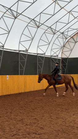 Horse riding session observed at Russian arena
