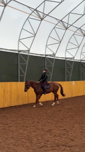 Horse riding session observed at Russian arena