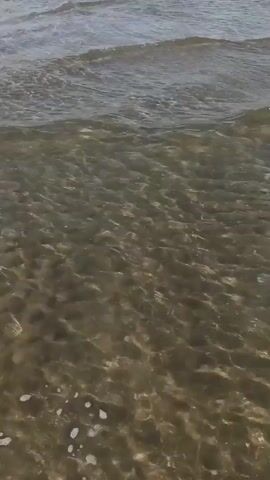 The video shows a view from the water at a beach. Gentle waves lap the shore, revealing the sandy bottom beneath the clear water. In the distance, a beach lined with rows of lounge chairs and colorful umbrellas stretches across the frame. The sky is a clear blue.
