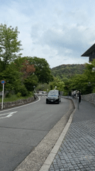 Morning scenes of everyday life captured across Kyoto temples