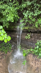Small waterfall flows into concrete trough amid green vegetation