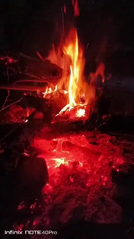 A campfire burns brightly in the dark, with flames reaching upwards and glowing embers at the base. The fire is set on the ground, surrounded by dark, undefined surroundings. The video captures the dynamic movement of the flames and the intense red glow of the coals.