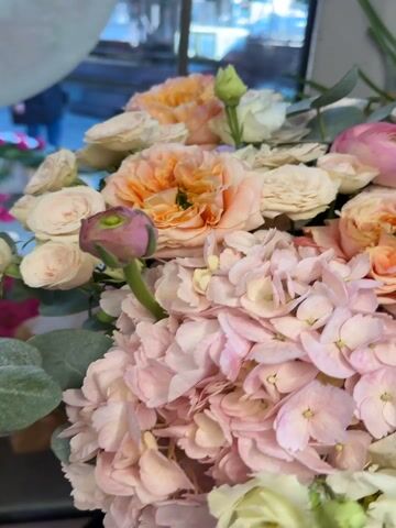 The video features a close-up, panning shot of a large and vibrant flower arrangement presented in a round, pink gift box. The camera slowly moves around the bouquet, showcasing its various floral components and colors.

The arrangement is composed of a diverse selection of flowers in pastel and bright hues. Prominently featured are large, ruffled peach and orange garden roses, alongside numerous smaller light pink and blush roses. Clusters of soft pink hydrangeas form a significant part of the arrangement, complemented by sections of light blue hydrangeas visible towards the top. Other blooms include bright pink ranunculus with their characteristic tightly packed, swirling petals, and delicate white or cream eustoma (lisianthus) intermingled with green buds. Green foliage, resembling eucalyptus, is also incorporated, adding texture.

The pink gift box is adorned with decorative ribbons in light pink and light blue satin. A small, circular sticker or logo is visible on the side of the box, displaying stylized text that appears to read "Jusa Lelia" or a similar brand name, likely of a florist. Partially visible text on the box or ribbon also reads "Just for...".

In the blurred background, tall green plants, possibly daffodils with small yellow flowers, can be seen in a vase or pot. A window reflection reveals a very indistinct outdoor or street scene and a faint, blurred figure of a person, suggesting an indoor setting such as a flower shop or studio during daylight hours. The overall impression conveyed is one of beauty, freshness, and a carefully crafted gift.