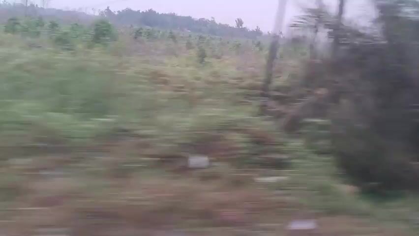 The video shows a blurry, fast-moving scene of vegetation and sky, likely from a moving vehicle. Power lines are visible overhead. A blurry sign with text and images is briefly visible on the left side of the frame. The overall impression is of a rural or semi-rural landscape observed in motion, possibly at dusk or on an overcast day, given the muted light.