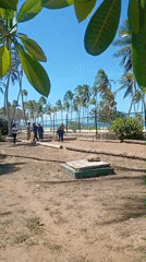 Clear skies recorded at Venezuela's Playa El Agua beach