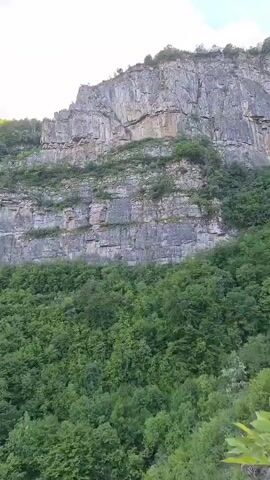 The camera pans upwards from a cliff face with dense foliage at its base to a mountain range in the distance, revealing a blue sky filled with white clouds. The cliff face is made up of layers of gray rock, and vegetation grows on the ledges between the layers. The mountain range is covered in green forests, and a small town can be seen in the valley below. The camera ends with a close-up of a bare tree against the background of the valley and mountains.