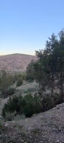 The video shows a landscape view of a mountainous area with trees and a clear sky above. The ground is covered with gravel and vegetation. In the distance, there appears to be a town or a cluster of buildings nestled within the valley. The scene is bathed in soft light, possibly suggesting early morning or late afternoon. The camera is static.