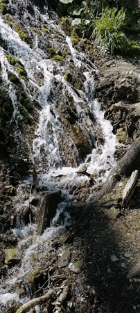 Spring nature walk documented in Chvizhepse forest, Russia