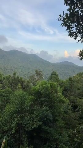 The video shows a lush, green mountain range under a partly cloudy sky. Dense vegetation fills the foreground, gradually revealing distant mountains shrouded in light clouds. The camera pans slowly, revealing a small settlement with white buildings nestled in the valley. A tree branch with green and reddish leaves extends into the frame on the left, adding depth to the scene.