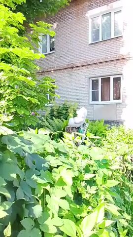 The video shows a white teddy bear statue sitting on a tree stump in a garden. The teddy bear is large and appears to be made of concrete or a similar material. It is positioned in a relaxed pose, with its legs bent and its arms resting on its lap. The teddy bear is surrounded by lush green foliage, including ferns and other plants. In the background, there is a brick building with windows. The lighting suggests it is daytime, with sunlight casting shadows on the ground. The camera is positioned at a low angle, looking up at the teddy bear.