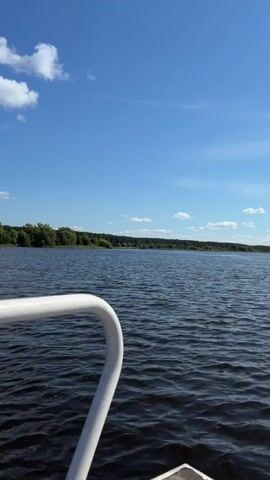 The video shows a view from a boat on a body of water. The sky is blue with scattered white clouds. In the distance, a tree-lined shore is visible. The water is dark blue with small ripples. A white railing is visible in the foreground, on the left side of the frame. The camera appears to be moving forward, indicated by the slight shift in the water's surface and the distant shoreline. No people are visible in the video.
