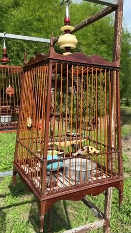 In a grassy outdoor setting, several wooden bird cages hang from a metal frame. Each cage is unique in design and appears to be handcrafted. Some cages contain birds, visible through the bars. The camera slowly pans across the row of cages, highlighting their details and the birds within. A dense green backdrop of trees and foliage provides the setting. The scene is lit by natural daylight, casting shadows across the grass and cages.