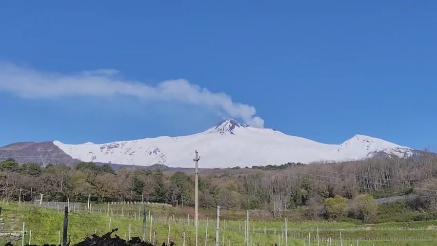 The scene depicts Mount Etna, covered in snow, with smoke emanating from its peak under a clear blue sky. The foreground features a field with a fence, behind which lies a wooded area. A utility pole is visible on the right side of the frame. The overall impression is one of a rural landscape dominated by the presence of the active volcano.