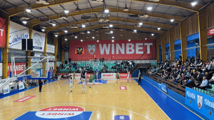 Dog sighting and basketball game documented in Pleven, Bulgaria