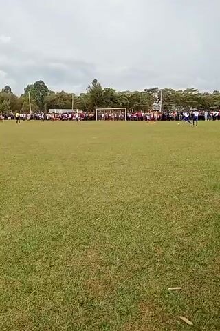 The video shows a soccer match taking place on a green grass field. The field is lined with spectators on both sides. On the far end of the field is the soccer goal. The video is taken from a distance, so it is difficult to see the details of the players and the game. The sky is overcast. A soccer ball is kicked towards the goal.