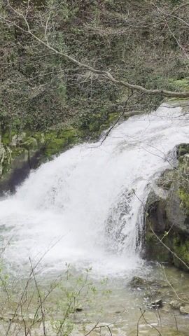 The video depicts a small waterfall cascading over rocks into a pool of water. Lush green vegetation, including moss and ivy, covers the surrounding rocks and trees. Bare branches from nearby trees frame the top of the scene. The water is white and foamy as it rushes down, creating a dynamic, natural landscape.