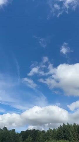A vertical video displays a clear blue sky with scattered white clouds above a dense line of green trees. The clouds are varied in size and shape, with some appearing wispy and others more voluminous. The trees form a dark, undulating horizon beneath the sky. There are no people or visible human activity in the video. The scene is consistent with an outdoor natural environment on a sunny day.