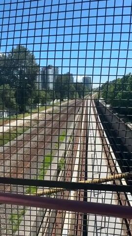 A high-angle, medium shot captures train tracks disappearing into the distance, framed by a wire fence. The sky is a clear, bright blue. The train tracks are on a slight incline and are bordered by concrete structures and overgrown vegetation. In the background, two modern high-rise buildings stand amongst lush green trees. A train is visible in the distance, moving along the tracks.