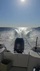 Motorboat Creates Wake in Bulgarian Waters at Dawn