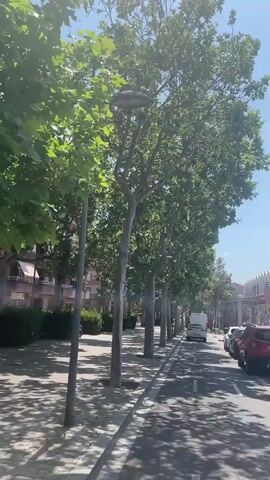 The video depicts a street scene in an urban area on a sunny day. A line of tall, green leafy trees stands along the left side of the road, casting shadows on the sidewalk. Cars are parked on the right side of the street, and a few vehicles are driving in the distance. A person wearing a white shirt and dark pants walks along the sidewalk in the direction of the camera. On the right side of the street, there's a building with a distinctive curved roof. The sky is blue with a few clouds.
