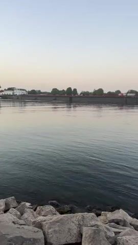 This media file captures a serene river scene in Nierstein, Germany, likely during the early morning or late evening given the soft, diffused light. The primary subject is a barge moving across a wide river. The barge appears to be a cargo vessel, long and flat, with a dark hull and a red stripe along its upper edge. On its deck, various structures and what appear to be trucks or vehicles are visible, suggesting it is carrying goods. A white cabin structure is also present towards the front of the barge.

The river itself is calm, with gentle ripples reflecting the pale, overcast sky. The water's surface transitions from a darker, more shadowed hue in the foreground to a lighter, more reflective tone towards the barge. In the distance, a tree line marks the bank of the river, with scattered foliage indicating a temperate climate. The sky is a soft gradient of pale blue and grey, with no harsh sunlight visible.

In the foreground, a rocky embankment lines the edge of the river, providing a natural and somewhat rugged texture. The rocks are of various sizes and shapes, with some appearing to be weathered.

No people are distinctly visible on the barge or along the riverbank. The overall mood is one of peaceful transit and the quiet hum of industrial activity within a natural landscape. The time of day suggests a moment of transition, either the start or end of a working day, contributing to the tranquil atmosphere. The location cues, such as the barge and the river, are consistent with a navigable waterway common in industrial and transportation hubs. There is some visible text on the side of the barge, near the stern, which appears to be a ship name, but it is not clearly legible.