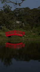 Early morning garden scenes captured at Da Lat botanical area