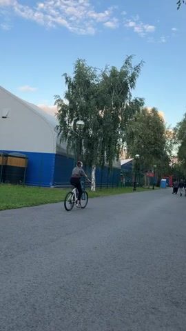 A person rides a bicycle on a paved path. The person is wearing a gray t-shirt and dark shorts. A tall tree with green leaves stands to the left of the path. A white building with a blue stripe runs along the left side of the path. Several other trees are visible in the background. The sky is blue with some clouds. The scene appears to be in a park or outdoor recreational area.