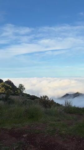 Here is a description of the video:

The video shows a landscape with a layer of clouds below a mountain range. A young woman enters the frame and takes a photo of the scenery with her phone. She is standing on a dirt path with green grass and bushes around her. The sky is blue with some wispy clouds.