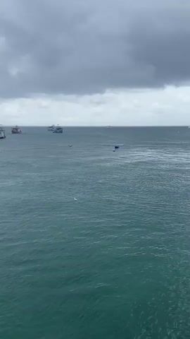 The video shows a view of a body of water, likely the sea or ocean, under a cloudy sky. Several boats of various sizes are visible in the distance, scattered across the water's surface. Small waves are present, indicating slight movement in the water. A single bird flies across the water. The overall environment appears calm yet overcast.
