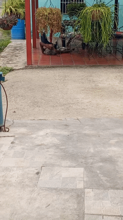 Quiet afternoon moments captured at Tinaquillo home