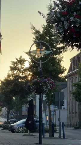 A street lamp with hanging flower baskets is visible in the foreground. The lamp has a circular frame around it, and the flower baskets are filled with red and white petunias and other colorful flowers. Behind the lamp, trees with green foliage are seen, and the sun is peeking through the branches. In the background, there is a street with a sidewalk, a car parked on the side, and buildings with pitched roofs. The sky is a soft yellow, indicating either sunrise or sunset. The overall scene is one of a tranquil, picturesque streetscape bathed in warm, natural light.