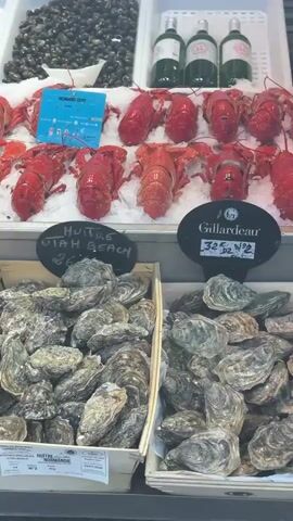 The video shows a close-up view of a seafood display at what appears to be a market stall. In the foreground, there are several wooden crates filled with oysters. Above the oysters, there is a display of lobsters on ice, with prices listed on small signs. Further back, there are trays of various shellfish and bottles of wine. The lighting is bright, suggesting an indoor or well-lit outdoor setting. No people are visible in the frame.