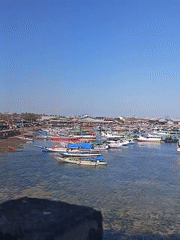 Snapshots of Kupang's harbor, coastline, and everyday life