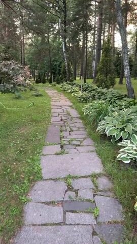A stone pathway meanders through a lush, green park-like setting. Tall trees, with slender trunks and varying foliage, line the path, casting dappled shadows on the ground. The pathway itself is constructed of irregular, flat stones, with patches of grass growing between them, suggesting age and natural integration. To the left of the path, a vibrant green lawn is dotted with low-lying plants and shrubs. To the right, the ground is covered in large-leafed hostas, their variegated green and white patterns adding visual interest. The overall impression is one of a tranquil, natural outdoor space, possibly a garden or a secluded park area.
