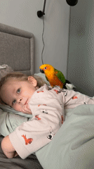 Child plays with parrot and stuffed dog during morning bedtime