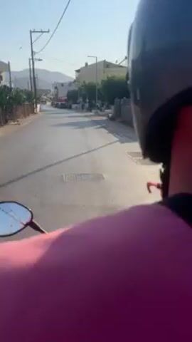 Here is a description of the video:

The video shows a person riding a moped down a quiet street. The camera is mounted behind the rider, offering a view of the road ahead. Houses are visible on either side of the road, interspersed with cactus plants and tall pine trees. The sky is clear and blue, suggesting a bright, sunny day.
