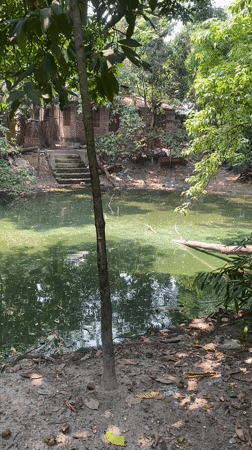 Person walks wooded path, picks up object in Hizla