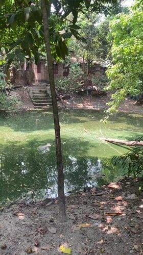 Person walks wooded path, picks up object in Hizla