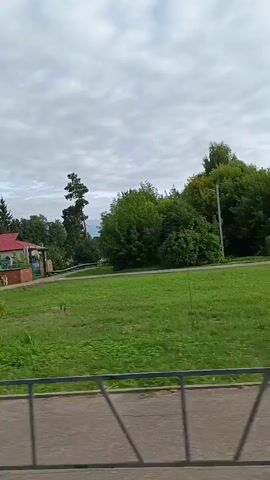 A video shows a passing view of a rural area. In the foreground, there is a black metal fence and a paved road. Beyond the fence, a green grassy area with a few young trees is visible. A red-roofed building with yellow accents is seen in the distance, behind some foliage. Further on, a tall, thin pine tree stands out against the cloudy sky. A blue and yellow pedestrian crossing sign is mounted on a pole. A brick building with multiple windows is also visible. The video then pans to show a large birch tree and another brick building. A man in a black t-shirt stands near a utility pole. A side-view mirror from a vehicle is visible in the lower left corner of the frame. The sky is overcast with gray clouds.