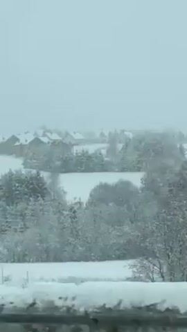 The video shows a snowy landscape. In the background, several houses are visible, their roofs covered in snow. The foreground is filled with snow-covered trees and bushes. Snow is falling, creating a soft, blurred effect. A metal handrail partially obstructs the view at one point, suggesting the video was taken from inside a vehicle or building. The overall atmosphere is cold and serene.