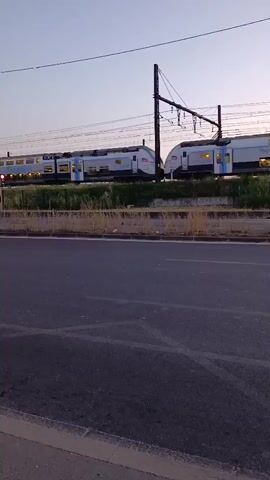 A train passes on a track as a blue car drives by on a road. The sky is clear and light blue, indicating it is either dawn or dusk. The train appears to be an electric train, as it has a pantograph connected to overhead power lines. The train is white with blue accents and has its lights on. The car is a hatchback and is in motion. There are traffic lights visible, one of which is red, indicating that cars should stop. There is also a street lamp. The road has some painted markings on it and a curb. The area around the train tracks is covered in dry grass and some vegetation. The overall scene is one of urban transit at a quiet time of day.