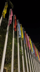 Evening scenes captured in Đà Nẵng include flags and poetess statue