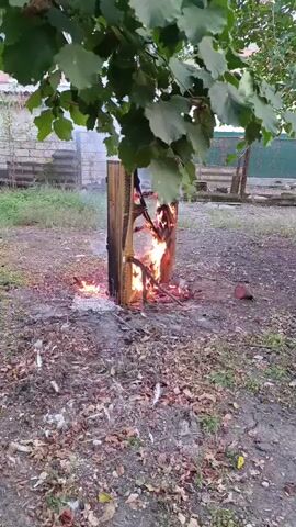 A wooden structure, possibly a cabinet or shelving unit, is engulfed in flames. The structure is tilted and burning from the bottom up, with visible embers and smoke. The scene appears to be outdoors, on a patch of dirt covered with fallen leaves and some sparse green vegetation. In the background, there is a fence and some greenery. The fire seems to be contained to the immediate vicinity of the burning structure. No individuals are visible in the video.