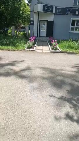 The video shows a paved walkway leading to a building entrance. The walkway is flanked by flower beds with blooming pink flowers. The building has a white door and grey siding. The lighting suggests it is daytime.
