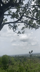 Outdoor scenes captured in Achara, Nigeria hills