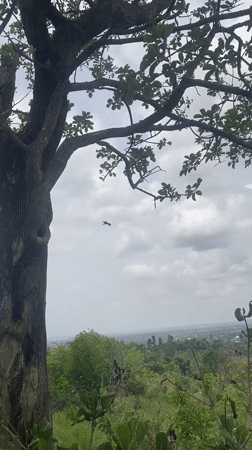 Outdoor scenes captured in Achara, Nigeria hills