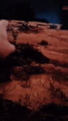 Artisanal mining footage mislabeled under a Polish location